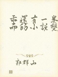 乖还有一半在外面的小说双男 主