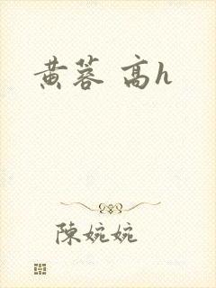 黄蓉 高h封面