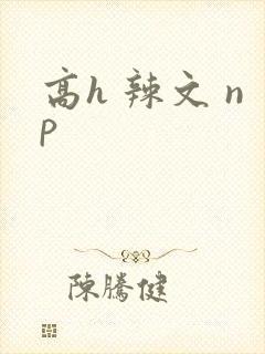 高h 辣文 np
