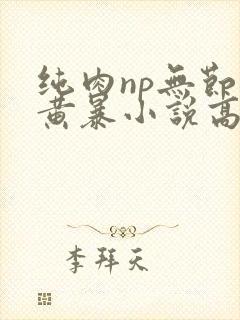 纯肉np无节操黄暴小说高h封面