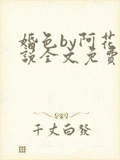 婚色by阿花小说全文免费阅读