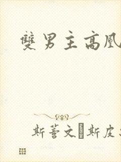 双男主高凰小说