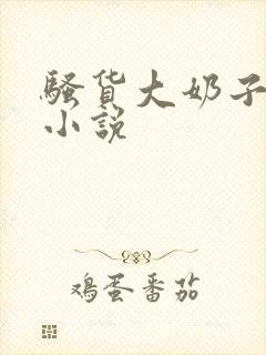 骚货大奶子言情小说封面