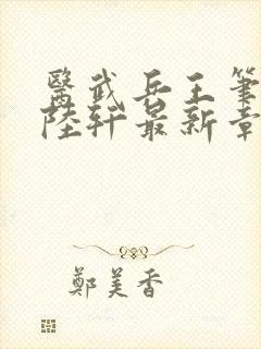 医武兵王笔趣阁陆轩最新章节封面