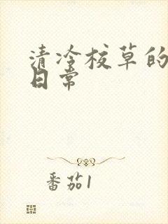 清冷校草的抹布日常