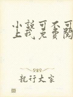 小说可不可以爱上我免费阅读封面