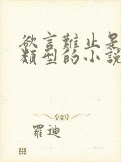 欲言难止是什么类型的小说封面