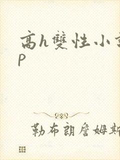 高h双性小说np封面