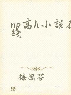 np高h小说在线