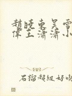 赵晓东吴雪晴郑伟王潇潇小说