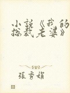 小说《我的冷艳总裁老婆》封面