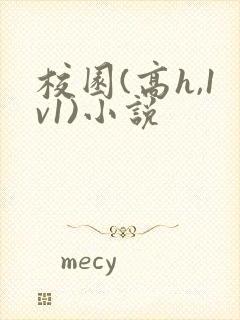 校园(高h,1v1)小说