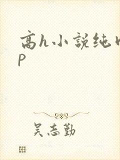 高h小说纯肉np