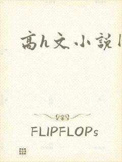 高h文小说网封面