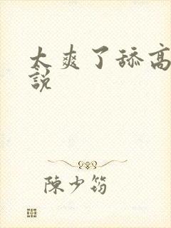 太爽了舔高h小说封面