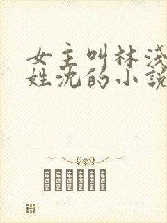 女主叫林浅男主姓沈的小说