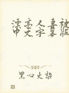 漂亮人妻被强中中文字幕版封面