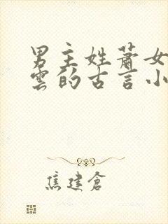 男主姓萧女主姓云的古言小说