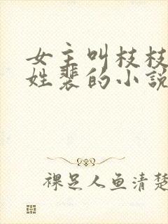 女主叫枝枝男主姓裴的小说