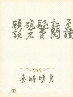 顾砚骁许柔汐小说免费阅读最新章节