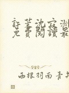 许茉沈寂洲全文免费阅读最新章节封面