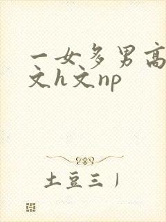 一女多男高辣h文h文np