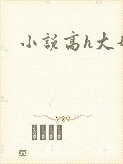 小说高h大奶