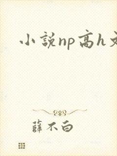小说np高h文