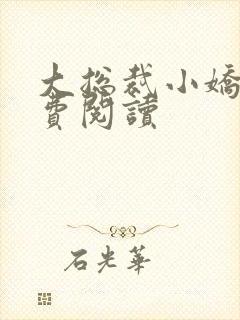 大总裁小娇妻免费阅读