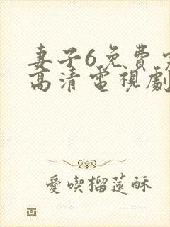 妻子6免费完整高清电视剧在线观看