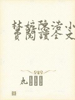 林婉陈浩小说免费阅读全文最新章节封面