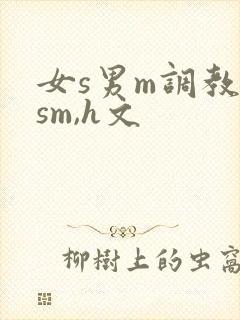 女s男m调教(sm,h文