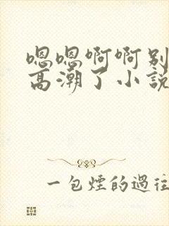 嗯嗯啊啊别干了高潮了小说