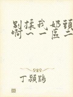 别揉我奶头嗯～啊～一区二区封面