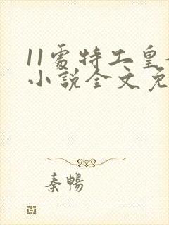 11处特工皇妃小说全文免费阅读笔趣阁封面