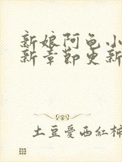 新娘阿龟小说最新章节更新内容