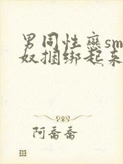 男同性恋sm狗奴捆绑起来调教的故事