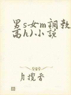 男s女m调教(高h)小说