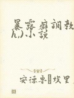 暴露癖调教(高h,)小说封面