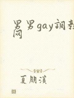 男男gay调教网