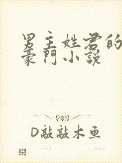 男主姓君的现代豪门小说封面