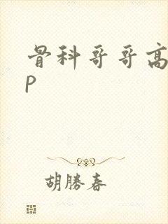 骨科哥哥高hnp