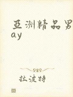 亚洲精品男同gay封面