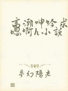 高潮呻吟求饶h嗯啊h小说