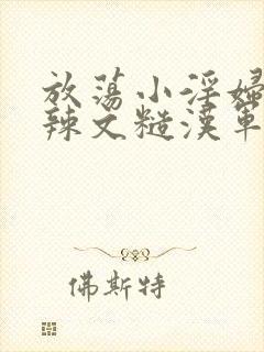 放荡小淫妇h肉辣文糙汉军婚软件