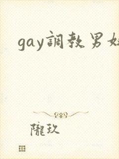 gay调教男奴