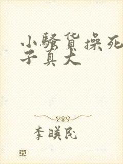 小骚货操死你奶子真大封面