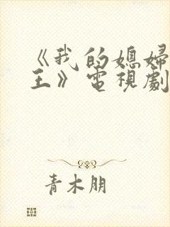 《我的媳妇是女王》电视剧封面