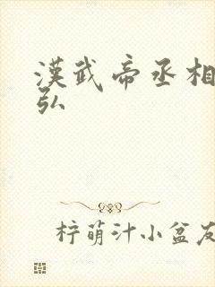 汉武帝丞相公孙弘