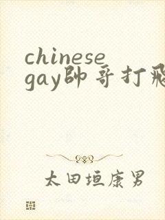 chinesegay帅哥打飞机